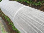 Waterproof Spunbond Nonwoven Fabric For Custom Packaging Clothing
