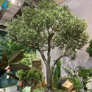 Quality Fiberglass Trunk Artificial Olive Tree Large Size For Outdoor Landscape Decoration wholesale