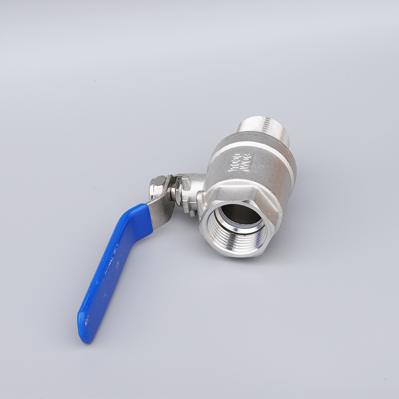 Water Treatment Equipment Supporting Valve 2PC Ball Valve with Female/Male Thread