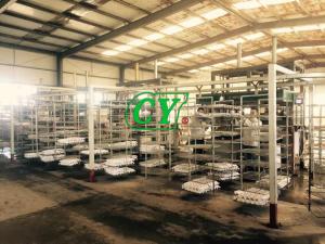 Quality Eco Friendly Pulp Drying Machine Egg Carton Production Line wholesale