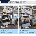 315 Ton Hydraulic Press Machine for Customized Animal Salt Lick Block Manufactur