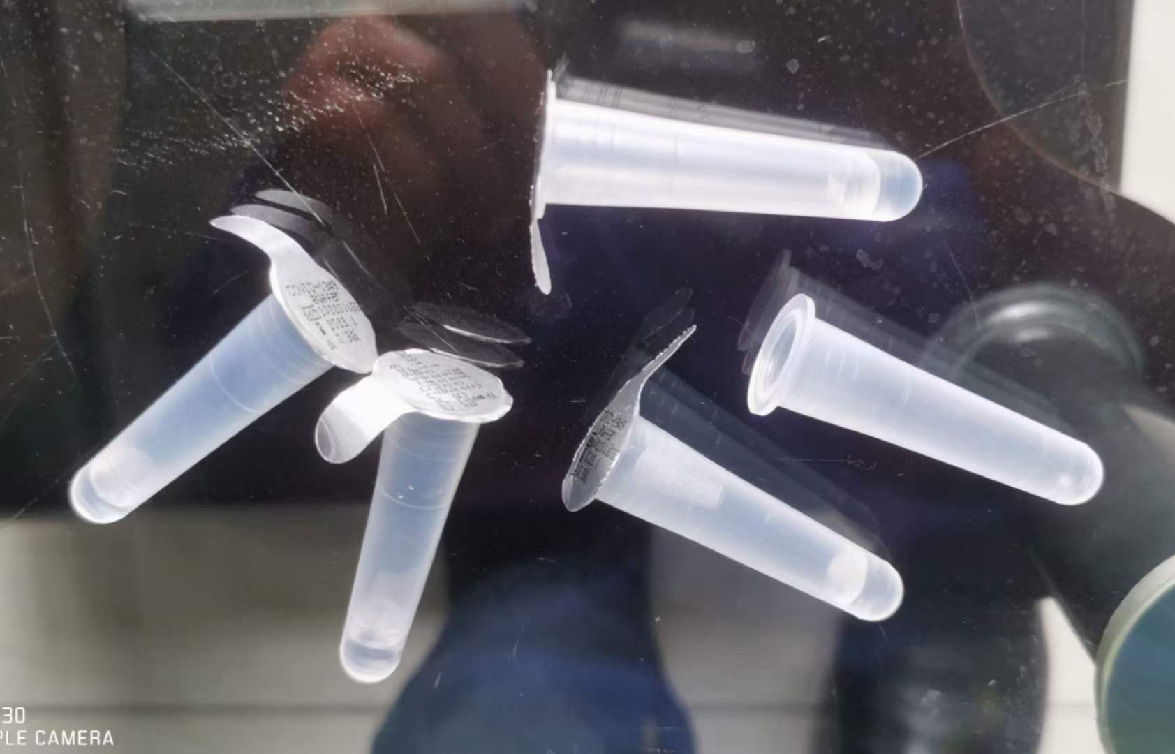 24 Heads Automatic Biological Reagent Test Tube Filling And Capping Sealing Machine