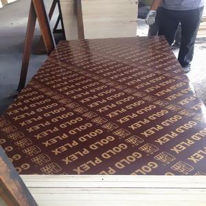 Quality Film faced plywood with brand name, MR,MELAMINE, WBP glue shuttering plywood, marine plywood wholesale