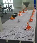 Broiler Farm Plastic Slatted Dung Leaking Board Poultry Slat Floor For Chicken