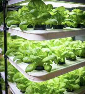 Quality Intelligent Temperature Control Container Greenhouse for JX-A0096 Soilless Cultivation wholesale