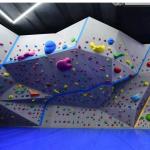 XXL Purple Handmade Indoor Climbing Gym Volumes for Bouldering Wall Durable and