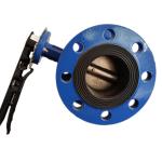 EN593 Flanged Concentric Butterfly Valve For Water Projects
