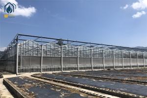 Quality Hot Galvanized Steel Pipe Tempered Glass Greenhouse 8m 9.6m 12m Span Width wholesale