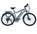 7 Speed Electric Mountain Bike 500W 48V Motor 17Ah Battery Disc Brake For Adults