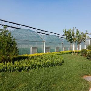Quality Factory wholesale stock exterior shading steel frame commercial multi span film greenhouse wholesale