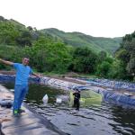 Double Smooth Geomembrane 0.5mm/0.75mm for Fish Shrimp Pond GB/ASTM GRI-GM13