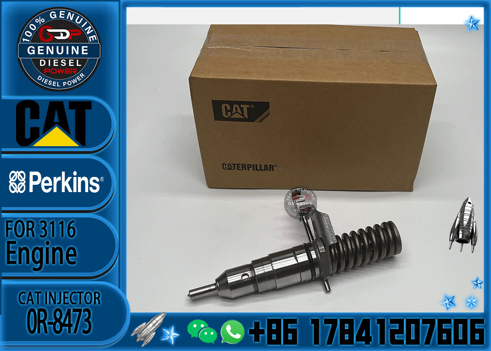 Excavator Parts CAT 3114 3116 3216 Engine fuel injector fuel injector 4P-2995 6I-3669 0R-8471 0R-8475 0R-8473