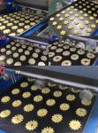 Cookies and Cake Dough Filling Machine Bakery Depositor 1000*1600*1600mm