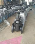 2 inch and 4 inch 125LB cast iron gate valve