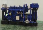 350KW LPG Generator Set ISO3046 Water Cooled Generator ISO9001