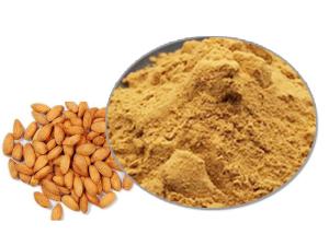 Quality 99% Herbal Extract Anti Tumor Peach Kernel Powder wholesale
