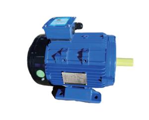 Quality 1 Phase Three Phase Asynchronous Electric Motor wholesale