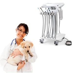 Quality 1 Year Warranty Vet Dental Treatment Unit Unique Design Mobile Dental Therapy Machine wholesale