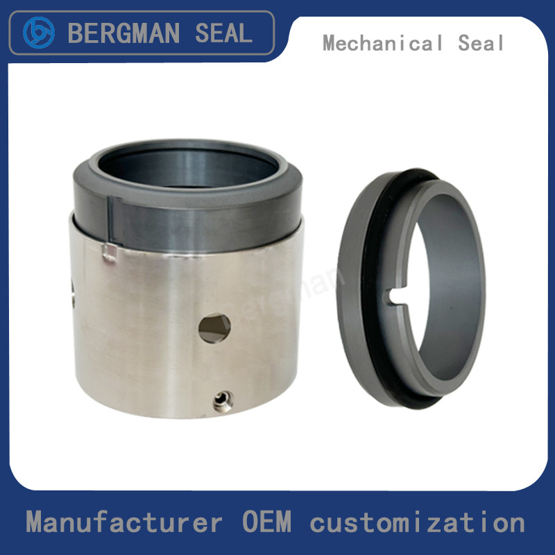 BERGMAN H75 H76 25mm-100mm G60 G4 G6 G9 G13 G16 BS Bo BP Pump Mechanical Seal
