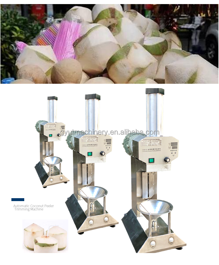 Restaurant Coconut Peeling Machine for Malaysia Market at Affordable