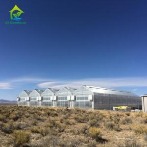Quality Multispan PC Sheet Greenhouse wholesale