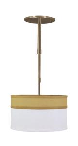 Quality 2013 pendant lamp,steel ceiling lamp wholesale