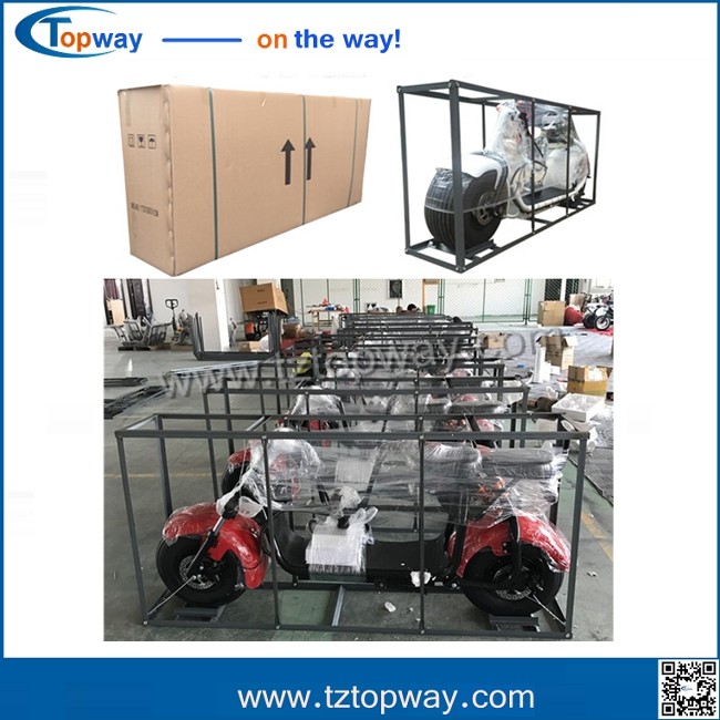 City Coco Electric Mobility Scooter Fat Tire Electric Motorcycle with front shock