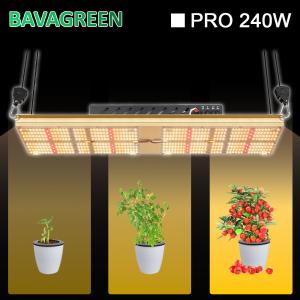 China THC CBD 624Umol/s Hydroponic LED Grow Light 240w Quantum Board on sale