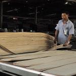 Decoration Natural Walnut Wood Veneer Excellent Burl Grain For High Class