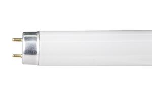 Quality 83 CRI T8 Tri-phosphor Tubular Fluorescent Lamp G13 10000hours wholesale
