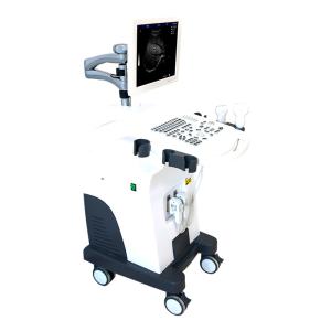 Quality 4 Probe Trolley 4D Color Doppler Ultrasound Scanner wholesale