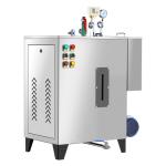 26L Water Capacity Steam Generator Boilers propane Energy Savings OEM