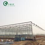Large Glass Covered Garden Greenhouses for Versatile Planting Options