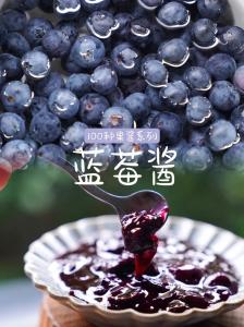 Quality Delicious Blueberry Jam Fruit Syrup For Breakfast 220gBlueberry Jam Syrup 220g wholesale