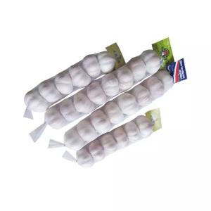 Quality Industrial Drawstring Sinbom Plastic Garlic Mesh Bag for Agriculture and Farmin wholesale