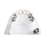 Easy Clean OEM Precision Attachment Partial Denture Stain Resistant