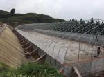 Double Arch Polyethylene Film Greenhouse Agriculture Multi Span Greenhouses