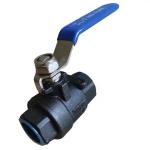 SS304 316 316L 1000WOG WCB High Pressure Ball Valve with Cylindrical Head Q11F
