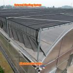 Thermostat Waterproof Plant Growing Hydroponics System Tunnel Large Greenhouses