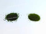 Umami Flavor Green Aonori Japanese Seaweed Powder