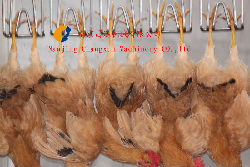 High Productivity Poultry Slaughtering Machine Automatic Chicken Abattoir Equipment