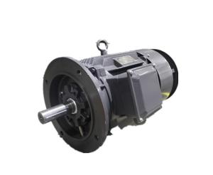 Quality YE3 200L-4 30kW Three Phase Squirrel Cage Motor 1475RPM wholesale
