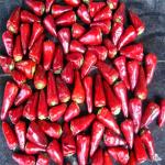 Stemless Dried Red Bullet Chilli Round 12% Moisture 4 - 7cm