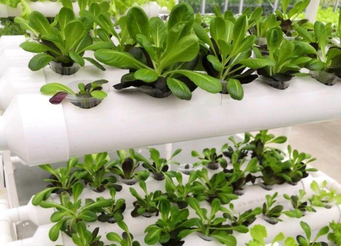 Humidity-Controlled Planting Facility by Juxiang