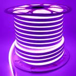 Flexible Led Neon Light Rgb for Outdoor Waterproof 220v 10*20 Lighting Sign