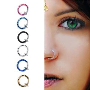 Quality 6 Colors New 2 PCS Clip on Boby Nose Lip Ear Fake Piercing Rings Stud Punk Goth False Hoop Earrings Septum wholesale