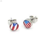 Body Piercing Jewelry Petrol Dripping Stainless Steel Stud Flag Earrings