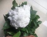 semi virgin hollow conjugated polyester staple fiber 7dx32/51/64mm