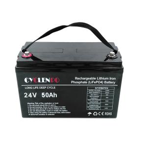 Quality Deep Cycle Lifepo4 Rechargeable Battery 24 Volt 50Ah Fast Charged For Golfcart / EVs wholesale