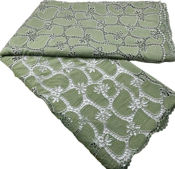 embroidered fabric for ladies african lace fabric silk african design for lady